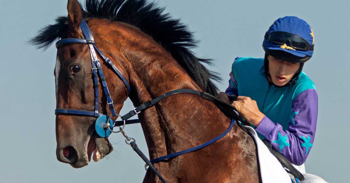 Capbleu3 Horse Racing | Betting Wins with Precision